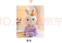 威尔通（WELTSTON）毛绒玩具布娃娃抱枕玩偶生日六一儿童礼物 甜心小白兔子公仔 实拍图
