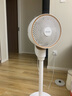 夏普 （SHARP）空气循环扇电风扇家用循环对流低噪大风量净化落地扇摇头节能四季扇立式涡轮换气扇 升级新款【遥控款+净化除菌+台地两用】 实拍图