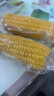 佳农 内蒙黄糯玉米棒8袋*220g 软糯香甜 真空锁鲜 源头直发 礼盒包邮 实拍图