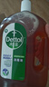 滴露（Dettol）消毒液衣物除菌液洗衣消毒水1.8L杀菌除螨 家居宠物消毒除菌  实拍图