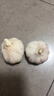 【百万单爆品】紫白皮蒜水果大蒜超市生鲜蔬菜调料即食蒜 【实惠】 5斤 单果3.5-5cm 实拍图