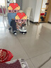 乐卡（Lecoco）扭扭车1-3-6岁儿童车静音闪光轮溜溜车 费格丝绒摩卡  实拍图