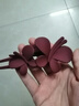 网红高级感蝴蝶夹子后脑勺盘发神器发夹女鸭嘴抓夹发卡一字夹头饰 紫红 实拍图