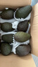 京鲜生 秘鲁微催熟牛油果8粒装 单果120g-150g 生鲜水果源头直发包邮 实拍图