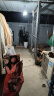 顽皮（Wanpy）果饭儿双拼犬粮添加鸡肉冻干拉布拉多比格宠物食品成犬幼犬专用 【升级款】鸡肉+三文鱼口味-10kg 实拍图