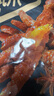 良品铺子虎皮凤爪卤香味500g 即食鸡爪熟食卤味宿舍夜宵解馋肉类零食 实拍图