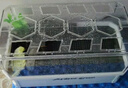Barbarous Growth乌龟缸带晒台生态养龟缸乌龟爬宠饲养箱专用养乌龟盆龟箱中号裸缸 实拍图