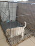 腆宠狗笼猫笼 狗笼子中小型犬带厕所幼犬狗窝猫笼子大号家用围栏兔笼 实拍图