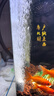 共度（Gong Du）增氧泵配件 氧气管增氧管 止逆阀止回阀气泡石沙头气管调节阀气泵 鱼池氧气机用（6沙头+6止回阀+12米气管） 实拍图