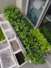 谢冰燃种植箱塑料花盆大号花箱户外长方形阳台种菜蔬菜盆种植神器 单排加深1联箱 实拍图