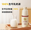 北海牧场0蔗糖原味家庭装酸奶1kg*1瓶高钙 30g蛋白质每瓶低温酸奶 实拍图