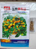 【京东物流】番茄种子盆栽番茄阳台盆栽农家田园大全各种各样 盆栽黄番茄种子1包约200粒 实拍图