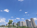 维达（Vinda）无芯卷纸 棉韧奢柔3层115节*14卷 羊绒感亲肤 卫生纸厕纸 纸巾 实拍图