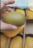 佳沛（zespri）新西兰 阳光金奇异果12粒礼盒特大果单果约122-146g 猕猴桃 水果 实拍图