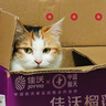 龙大肉食 猪后腿肉丝1斤 出口日本级 免切精肉猪腿肉后臀尖猪肉 猪肉丝 实拍图