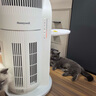霍尼韦尔（Honeywell）【papi酱同款】宠物猫用空气净化器吸猫毛除甲醛过敏源杀菌消毒霍哈宝H-Cat Hub家电国家补贴 实拍图