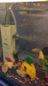 森森 小鲤鱼缸过滤器净水循环三合一内置水族箱过滤系统XQP-500F 6W 实拍图