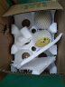 远达（YUANDA）赵县正宗雪花梨冰糖雪梨新鲜水果梨子大果整箱熬汤特产 雪花梨大果净重4.5斤 实拍图