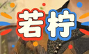 十月结晶产妇纸加长（34*60cm）月子纸产后专用刀纸卫生纸2袋（250g*8包） 实拍图