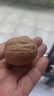 楼兰蜜语【京觅专供】新疆新二薄皮核桃2500g原味核桃纸皮送礼盒坚果零食 实拍图