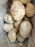 陇百味定西土豆2025年新挖粉糯面沙 高山洋芋 马铃薯 甘肃定西美食特产 净重9斤  单果3两起中果 实拍图