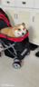 DO DO PET宠物推车中小型犬狗狗手推车猫咪小推车柯基柴犬出行可折叠遛狗车 红色-建议狗狗35斤内，猫咪2-3只 实拍图