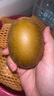 佳沛（zespri）新西兰 阳光金奇异果12粒礼盒特大果单果约122-146g 猕猴桃 水果 实拍图