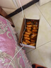 达利园法式软面包香奶味3斤整箱装休闲零食手撕营养早餐饼干代餐糕点 实拍图