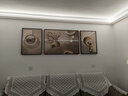 诗六艺家饰客厅装饰画北欧现代简约沙发背景墙挂画三联画大气轻奢壁画晶瓷画 福禄生辉（铝合金外框） 镶钻画左右50*70+中间100*70亮面 实拍图