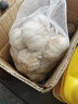 山东金乡蒜大蒜出口标准精选大蒜头蔬菜调料单果5cm 出口标准网兜装箱 1300g 5-5.5cm特大 实拍图