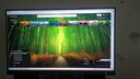 飞利浦EVNIA电竞游戏显示器 23.8英寸2K原生180Hz FastIPS HDR 1ms硬件低延迟 DP1.4 IF红点奖24M2N5500L 实拍图