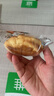 三只松鼠牛奶可颂面包 早餐面包代餐休闲零食小吃牛角包原味380g 实拍图