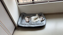 憨憨乐园狗窝猫窝XXL号宠物房子狗狗用品狗垫子屋四季大型犬垫床加大号 实拍图