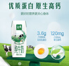 伊利金典纯牛奶整箱 250ml*16盒 3.6g乳蛋白 礼盒装 实拍图
