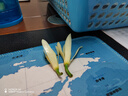力士(LUX)沐浴露 恒久嫩肤 淡雅香氛 娇肤香氛沐浴乳1000g留香 实拍图