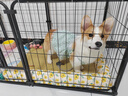 柒哦狗窝宠物凉席夏季睡垫护颈冰窝猫狗垫子全可拆洗中小型犬狗床凉窝 【凉席加厚款】阳光花海可拆洗 S-30*40CM（建议4斤内） 实拍图