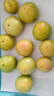 京鲜生 山东铁皮草莓西红柿 净重4.5斤 单果60-150g水果番茄源头直发 实拍图