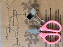 乐品乐茶特级毛尖绿茶2025新茶明前特级春茶嫩芽冷泡茶叶解暑250g送礼品袋 实拍图