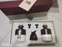舍得 品味舍得 浓香型白酒 52度 600ml*2瓶 礼盒装 送礼礼物 实拍图
