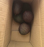 品赞秘鲁牛油果新鲜鳄梨哈斯水果健康轻食 牛油果10个单果100-130g 实拍图