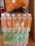 依能 西柚味 无糖无汽弱碱苏打水饮料 500ml*24瓶 塑膜装 饮用水 实拍图