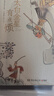 长安的荔枝、桃花源没事儿、太白金星有点烦、食南之徒等马伯庸作品集 大医日出篇+破晓篇正版显微镜下的大明两京十五日三国机密七侯笔录长安十二时辰上下册古董局中局全集风起陇西三国配角演义马伯庸笑翻中国简史  实拍图