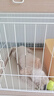 狗狗玩具球边牧柯基金毛逗狗遛狗训犬专用耐咬磨牙小狗宠物狗网球 宠物狗网球-黄色-2个 实拍图