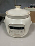 小熊（Bear）电炖锅 BB煲粥饭锅婴儿专用炖盅 宝宝炖汤全自动陶瓷1L DDG-D10W6 实拍图