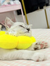 欢宠网伊丽莎白圈猫宠物狗猫咪狗狗绝育项圈软头套脖套防舔防咬脖圈耻辱 实拍图