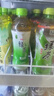 统一 绿茶 500ml*15瓶 茶饮料 整箱装（新老包装随机发货） 实拍图