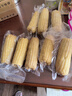 京鲜生东北白糯玉米250g*10棒 新鲜甜糯玉米棒真空包装粘玉米 源头直发 实拍图