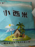小西米白西米袋装椰浆西米露水晶粽子奶茶水果捞原料中小粒包邮 小西米500克*1袋 实拍图