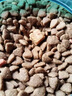 麦富迪猫粮 超肉粒冻干双拼成猫粮美毛护肠胃 三文鱼10kg/20斤 实拍图