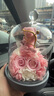 西罗斯（SEEROSE）永生花丘比特熊保鲜玫瑰花束高级春节情人节生日礼物送女朋友老婆 丘比特熊-粉色 福州仓发货-支持代写贺卡 实拍图